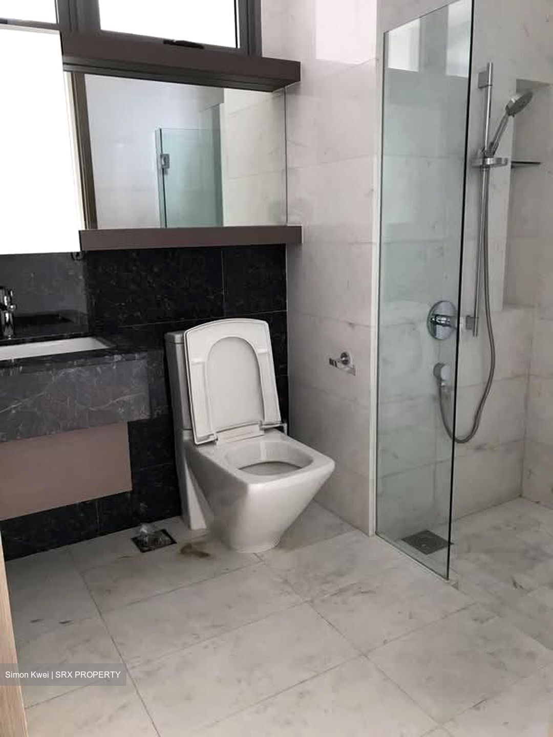 Starlight Suites (D9), Apartment #570570921